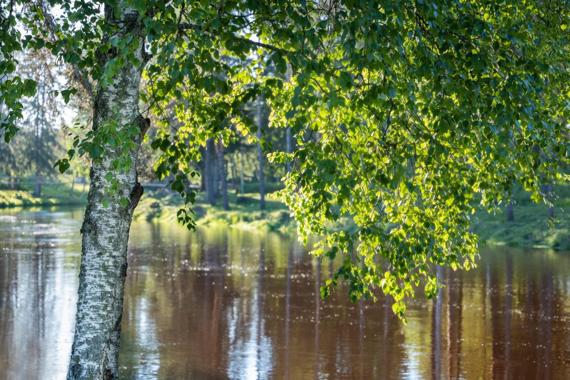 Spa Hotel Runni Iisalmi Εξωτερικό φωτογραφία